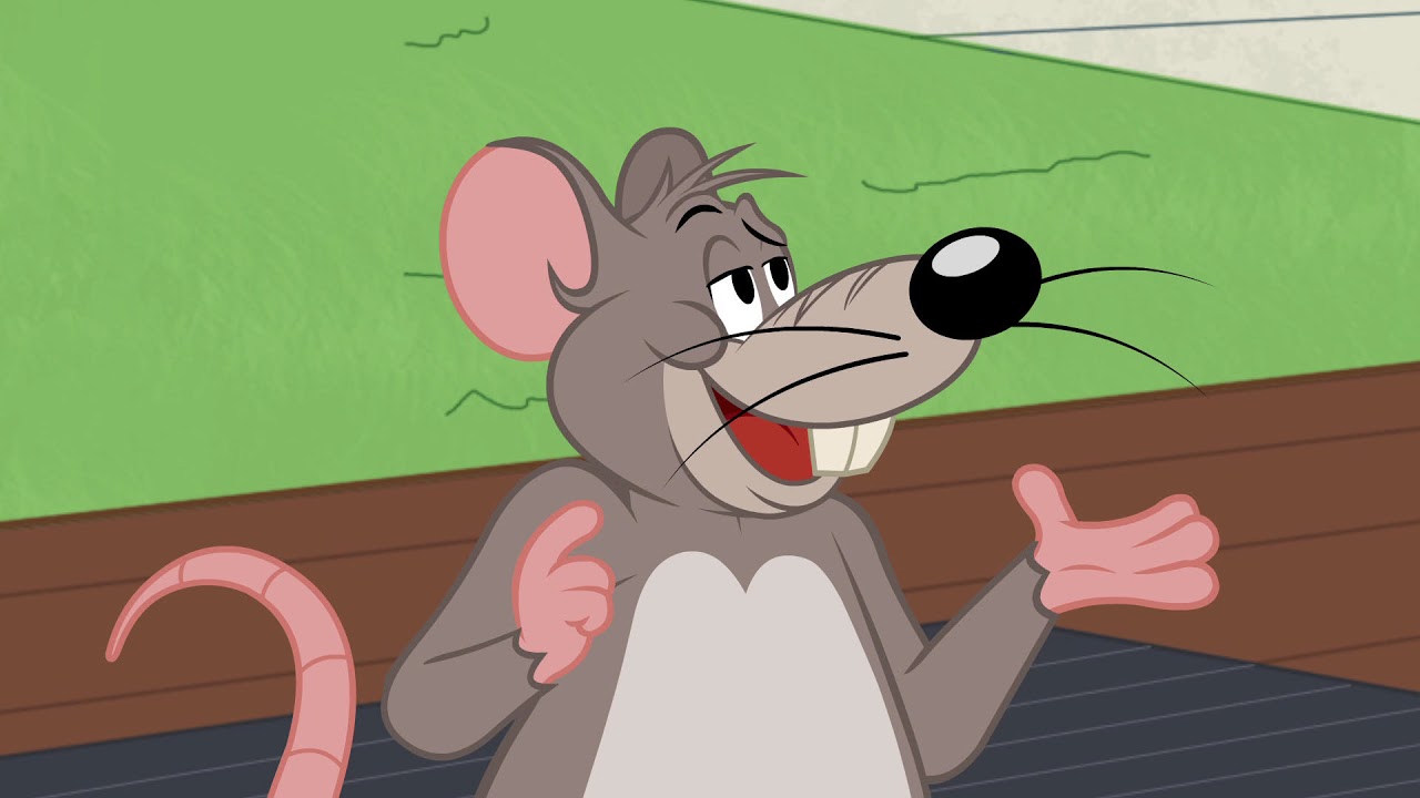 Frankie | Tom and Jerry Wiki | Fandom
