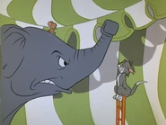 Elephant clutching his trunk as a fist to hit Tom