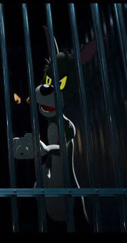 Ash Cat.jpg