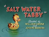 Salt Water Tabby