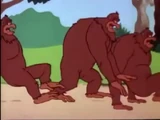 Three Gorillas