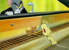 The Cat Concerto 2