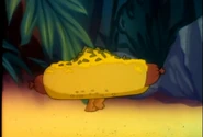 and Hotdog