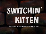 Switchin' Kitten