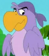 Purple Parrot Chuck (Tom and Jerry: Shiver Me Whiskers)