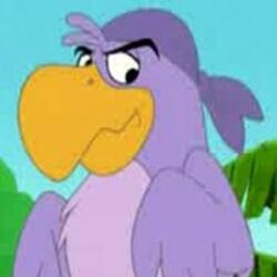 Purple Parrot Chuck
