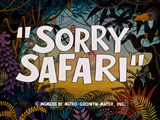 Sorry Safari