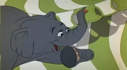 The Elephant notices the thumbtack is gone