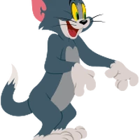 Tom Cat Tom And Jerry Wiki Fandom