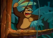 Gorilla grunting and pounding his chest