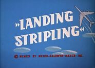 LandingStripling