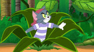 Tom-jerry-shiver-disneyscreencaps.com-3783