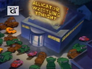 Gator Baiter - Alligator Wrestling Tonight