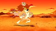 Lion Saving and Carrying His Lioness Minions While Running From Danger