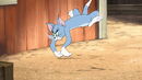 Tom-jerry-wizard-disneyscreencaps.com-230