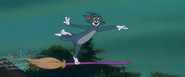 Wikia-Visualization-Main,tomandjerry