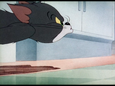 Tom: Come back here rodent!