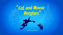 Cat and Mouse Burglers