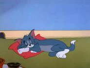 Push-Button Kitty - Tom sleeping