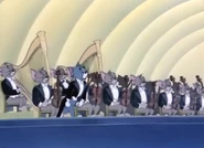 Tom getting ready to perform