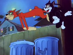 Tom and jerry saturday evening puss full episode deals