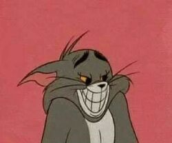 List Of Tom And Jerry Internet Memes Tom And Jerry Wiki Fandom