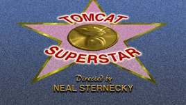 Tomcat Superstar title
