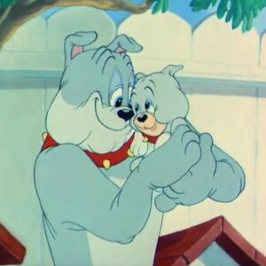 Tyke Bulldog Tom And Jerry Wiki Fandom