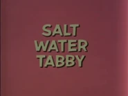 Salt Water Tabby