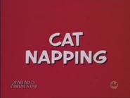 Cat Napping