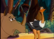 Rhino and Ostrich sees Tom