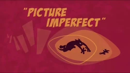 PictureImperfect