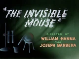 The Invisible Mouse