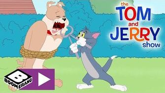 The_Tom_and_Jerry_Show_Tom_Is_Spike's_dentist_Boomerang_UK