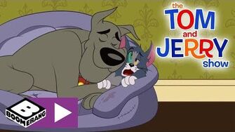 The_Tom_and_Jerry_Show_The_Perfect_Sleeping_Buddy_Boomerang_UK