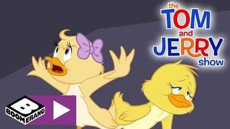 The_Tom_and_Jerry_Show_Duckling_Love_Story_Boomerang_UK