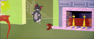Timid Tabby - Tom chases Jerry