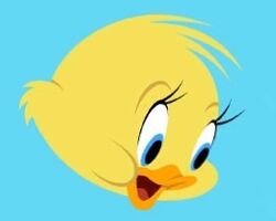 Quacker | Tom and Jerry Wiki | Fandom