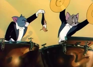 Jerry in between cymbals