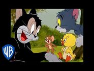 Tom & Jerry - Best Side Characters - Classic Cartoon Compilation - WB Kids