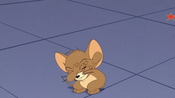 Tom and jerry hi robot full episode cheap