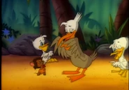 Tarzan Jerry takes baby pelican return to his momma