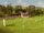 Крикетное поле Елсбриджа