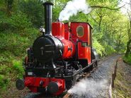 Douglas(Talyllyn)2