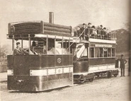 Прототип Флоры