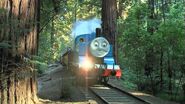 Thomasinwoods