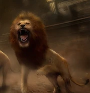 León