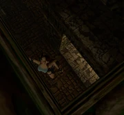  escalando hacia una sala secreta en el techo.