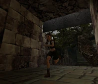  sale victoriosa de la carrera.