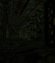  decidiendo qué camino tomar.